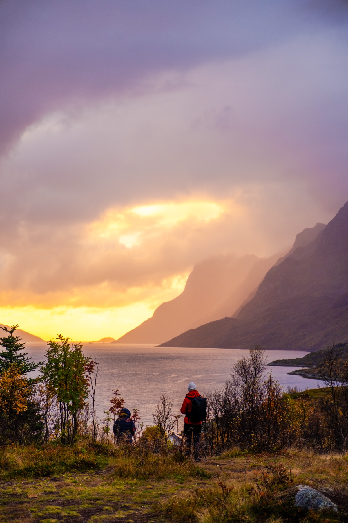 Golden light over the fjord